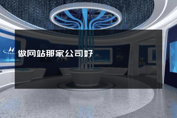 做网站那家公司好