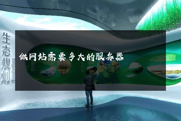 做网站需要多大的服务器