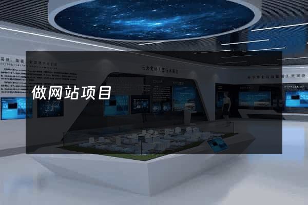 做网站项目
