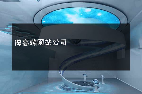 做高端网站公司