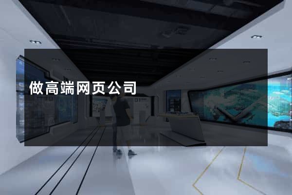做高端网页公司