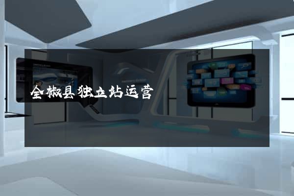 全椒县独立站运营