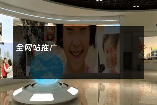 全网站推广