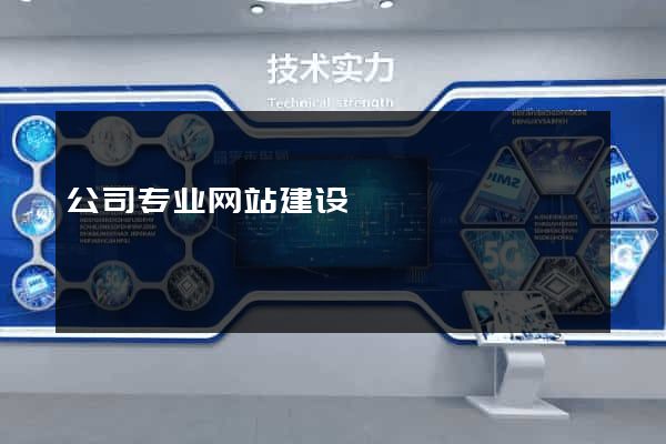 公司专业网站建设
