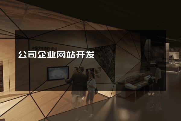 公司企业网站开发