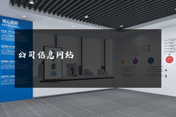 公司信息网站