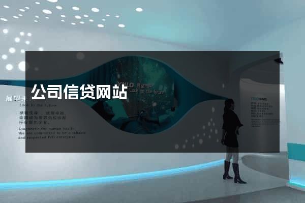 公司信贷网站