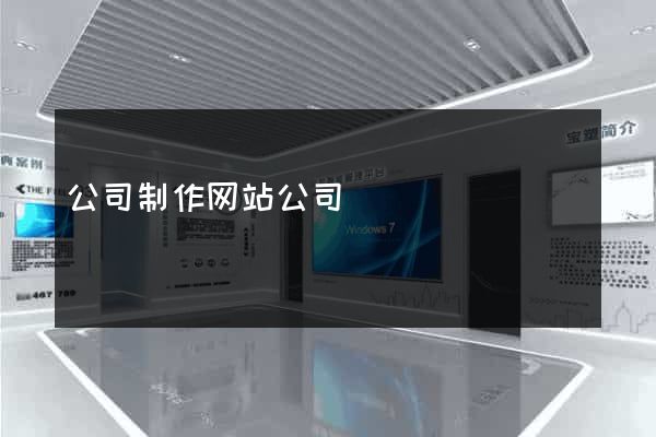 公司制作网站公司