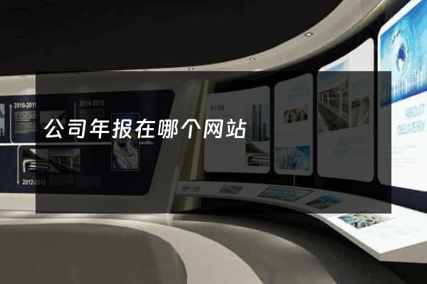 公司年报在哪个网站