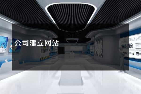 公司建立网站