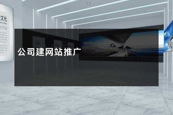 公司建网站推广