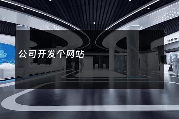 公司开发个网站