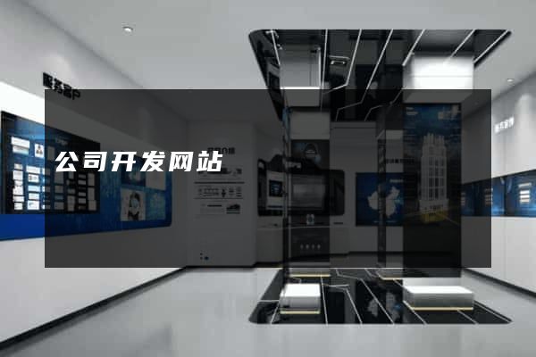公司开发网站