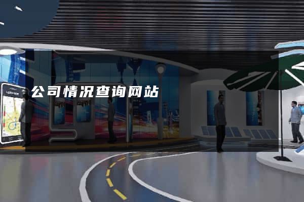 公司情况查询网站