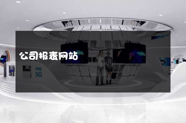 公司报表网站