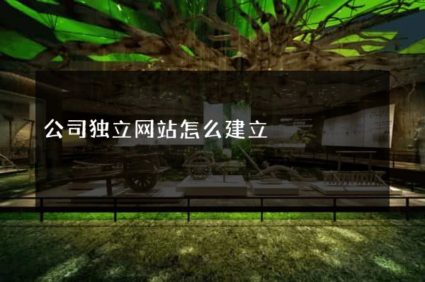 公司独立网站怎么建立