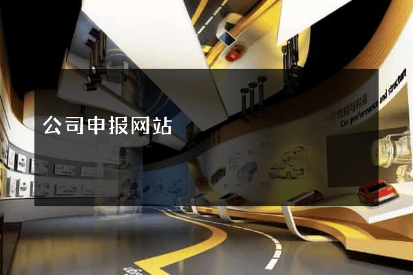 公司申报网站
