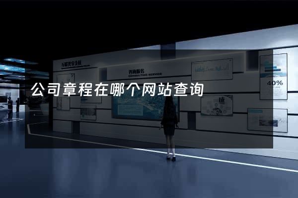 公司章程在哪个网站查询