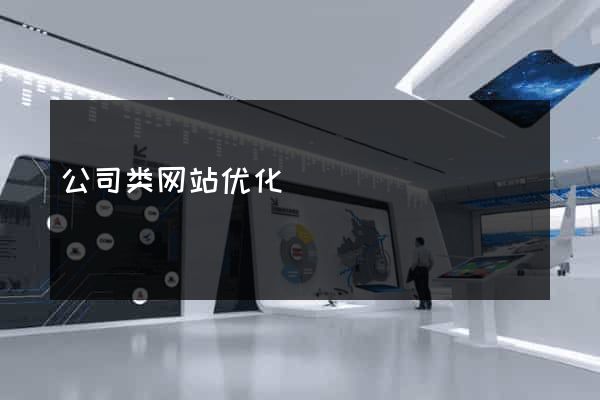 公司类网站优化