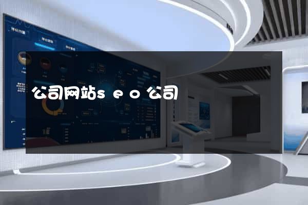 公司网站seo公司