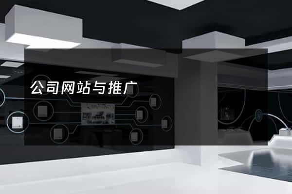 公司网站与推广