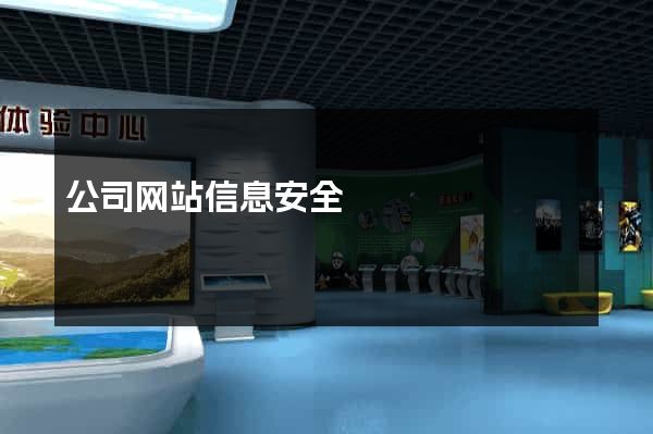 公司网站信息安全