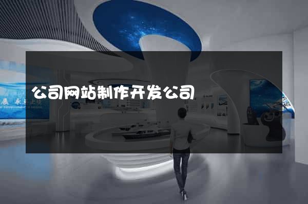 公司网站制作开发公司