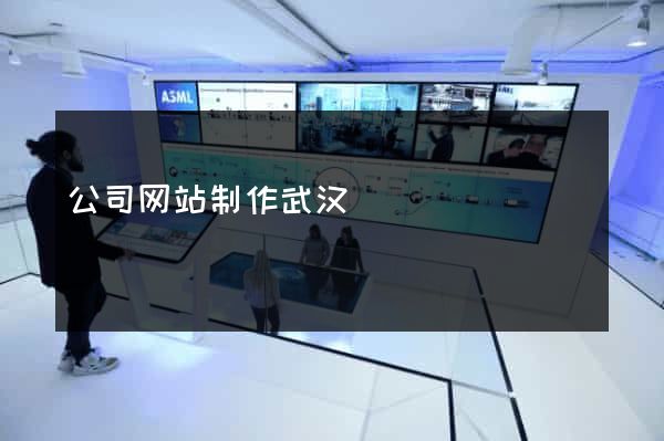 公司网站制作武汉