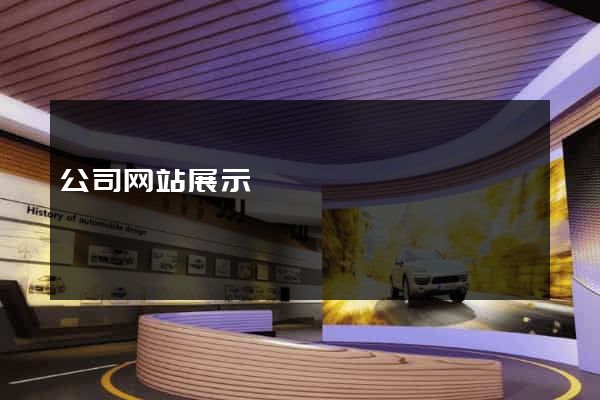 公司网站展示
