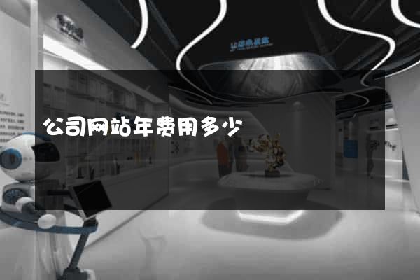 公司网站年费用多少
