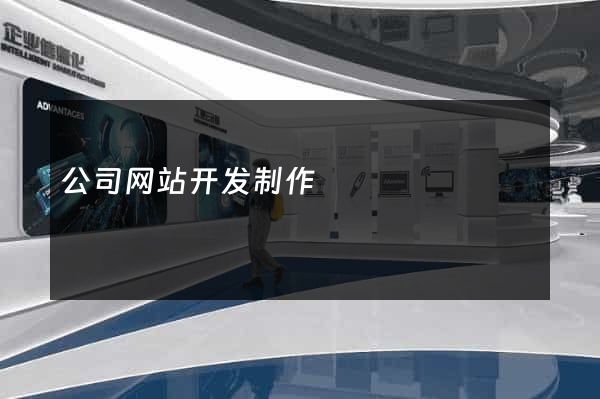 公司网站开发制作