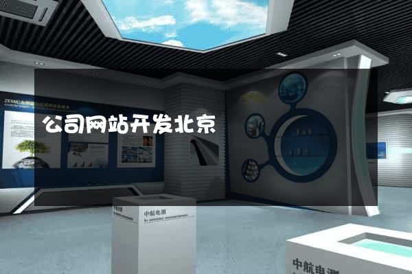 公司网站开发北京