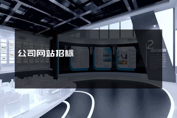 公司网站招标