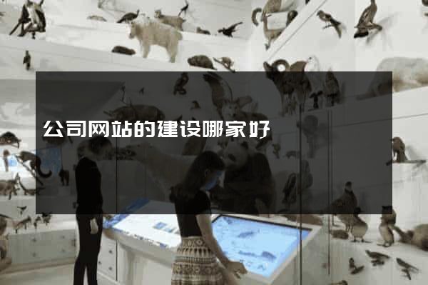 公司网站的建设哪家好