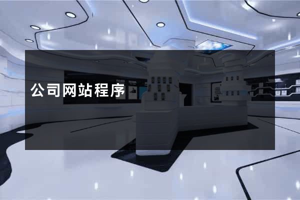 公司网站程序