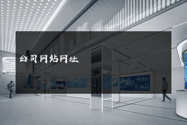 公司网站网址