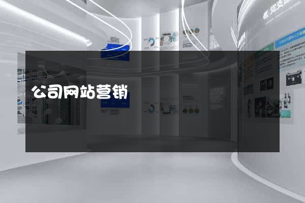 公司网站营销