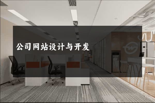 公司网站设计与开发