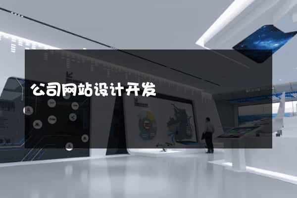 公司网站设计开发