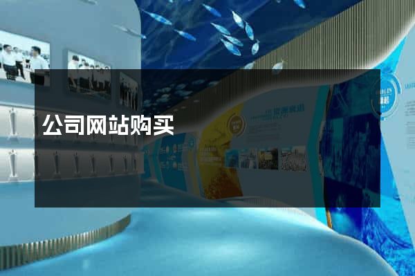 公司网站购买