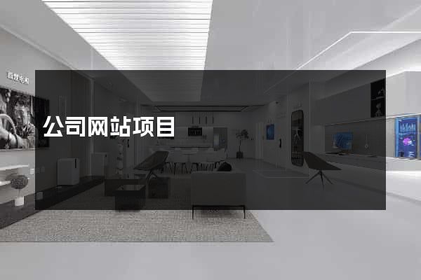 公司网站项目