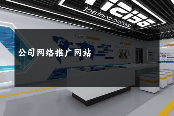 公司网络推广网站