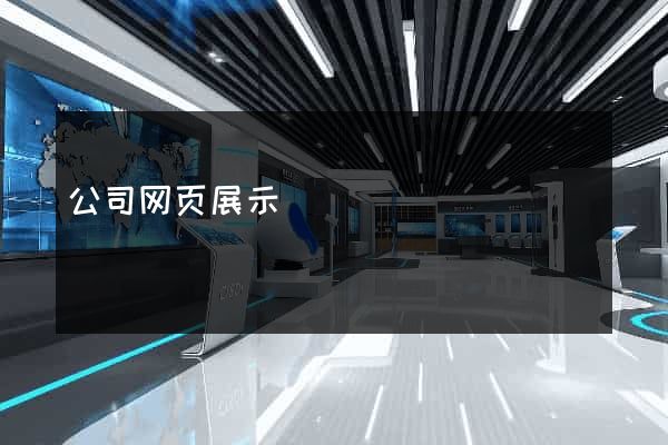 公司网页展示