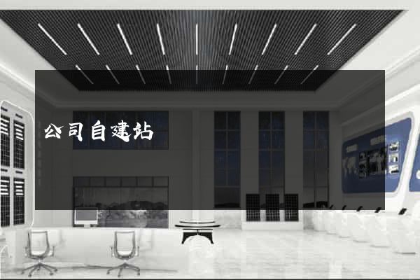 公司自建站