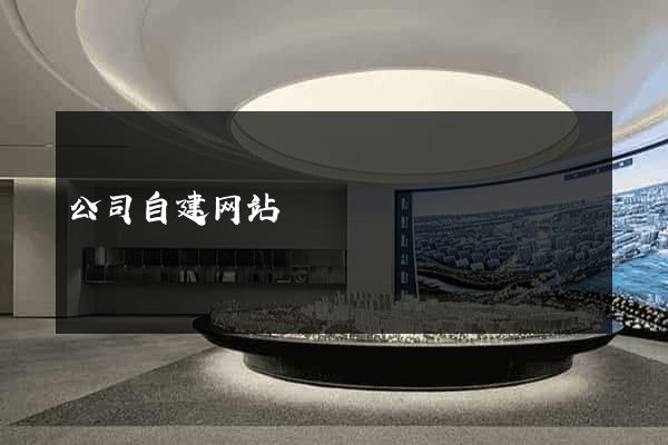 公司自建网站