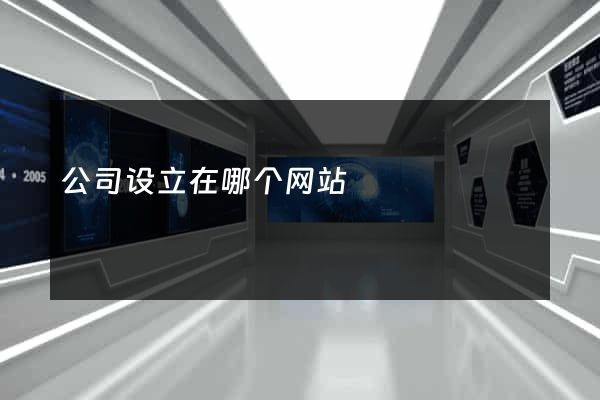 公司设立在哪个网站