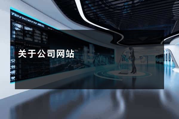 关于公司网站
