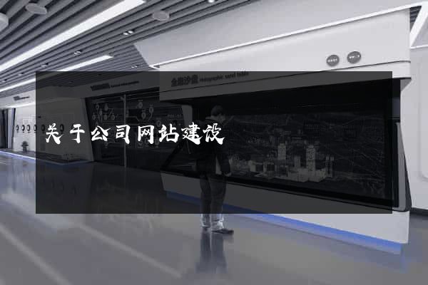 关于公司网站建设