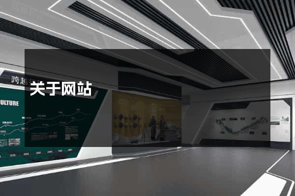 关于网站