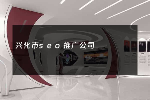 兴化市seo推广公司